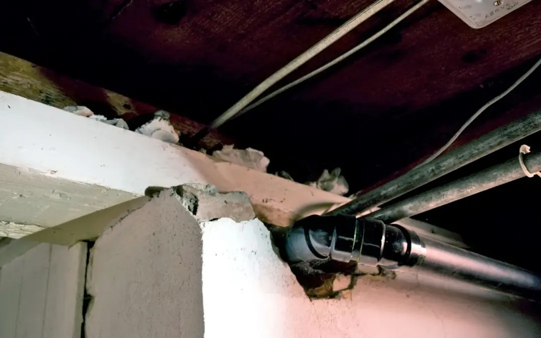 What to Expect When Working with Local Foundation Repair Companies