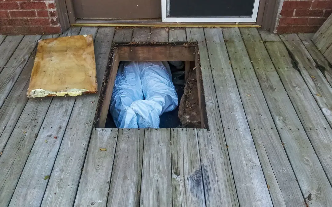 6 Qualities of a Well-Constructed Crawl Space